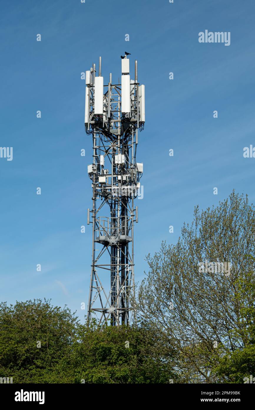 Telefono cellulare Tower Foto Stock