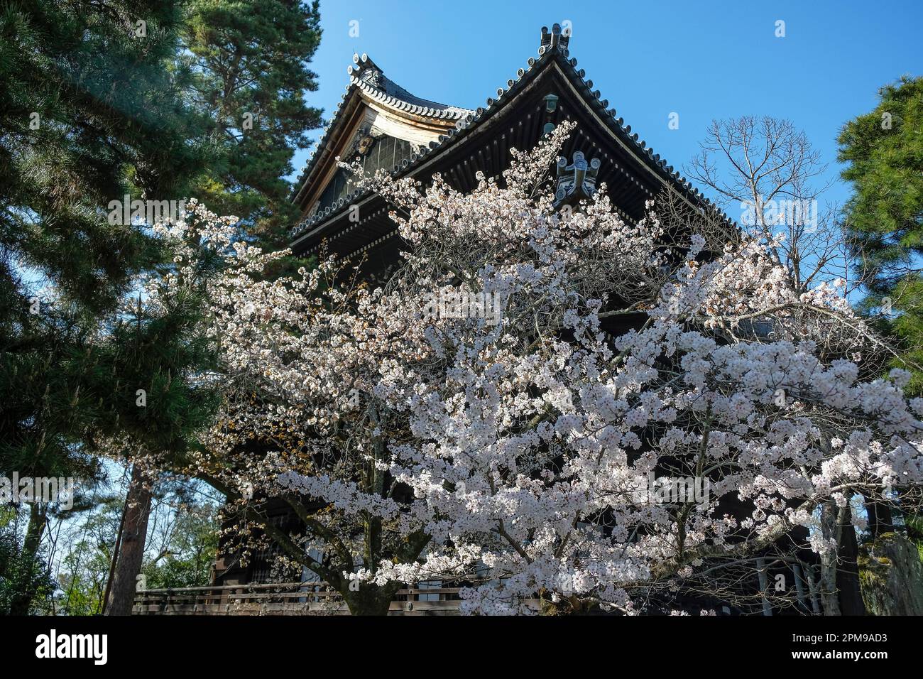 Kyoto, Giappone - 28 marzo 2023: Il tempio della Chionina è un tempio buddista di Kyoto, Giappone. Foto Stock