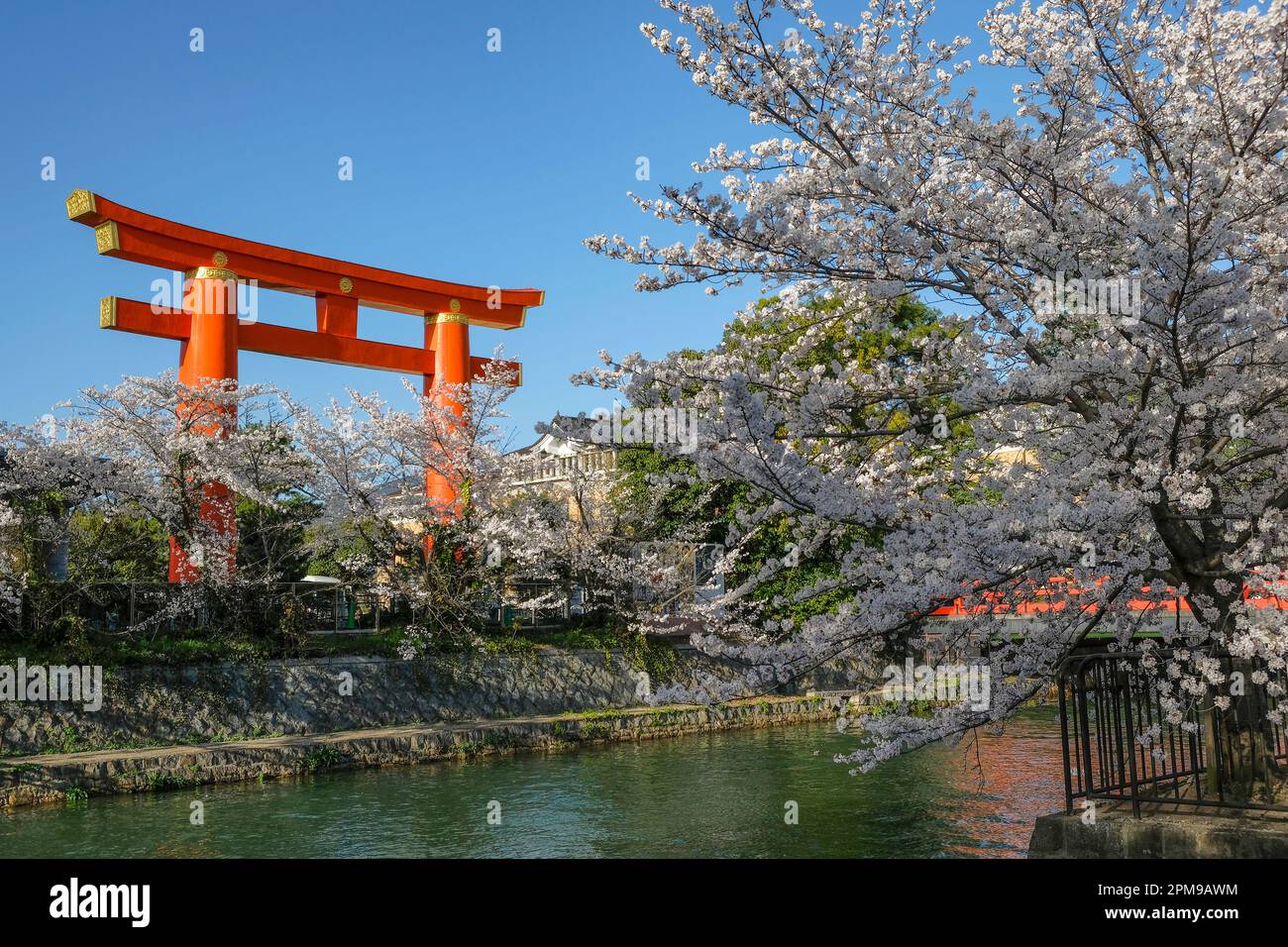 Kyoto, Giappone - 28 marzo 2023: Viste del canale Okazaki con fiori di ciliegio e del Santuario Heian Jingu Grand Torii a Kyoto, Giappone. Foto Stock