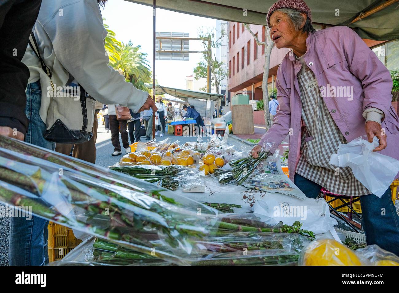 Kochi, Giappone - 9 aprile 2023: Una donna che vende frutta e verdura al Kochi Sunday Market in Giappone. Foto Stock