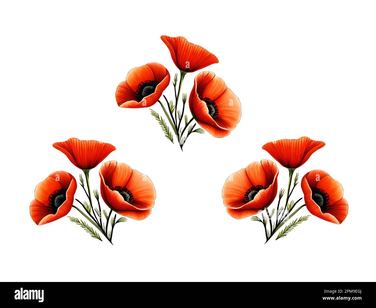 Pittura digitale stilizzata Red Poppies, stile acquerello con sfondo bianco e spazio copia, giorno della memoria, colori pastello Foto Stock