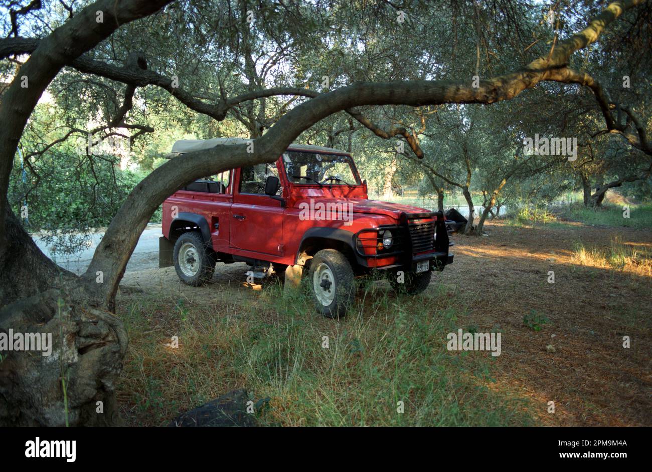 Land Rover Defender sotto un albero Foto Stock