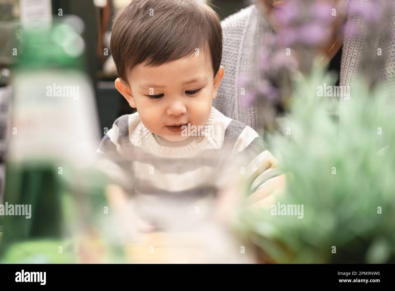 Un'immagine da sogno di un bambino maschio seduto sulle gambe di suo padre irriconoscibile in una birreria all'aperto presso il pub in Scozia, Edimburgo. Bokeh con pianta e bot Foto Stock