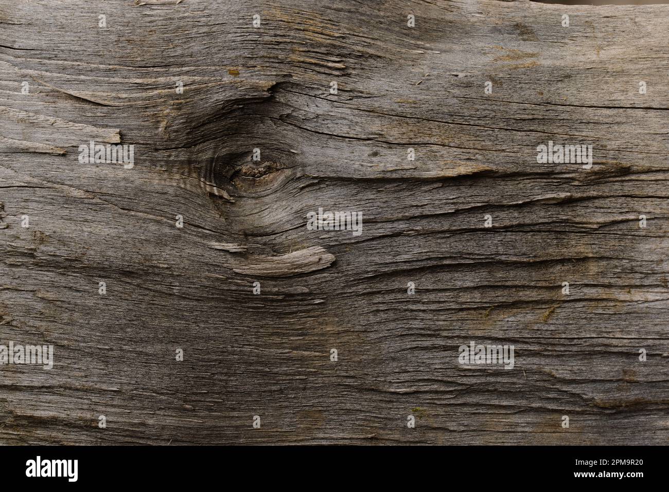 Foto di un pezzo di legno crudo e tagliato. Foto Stock