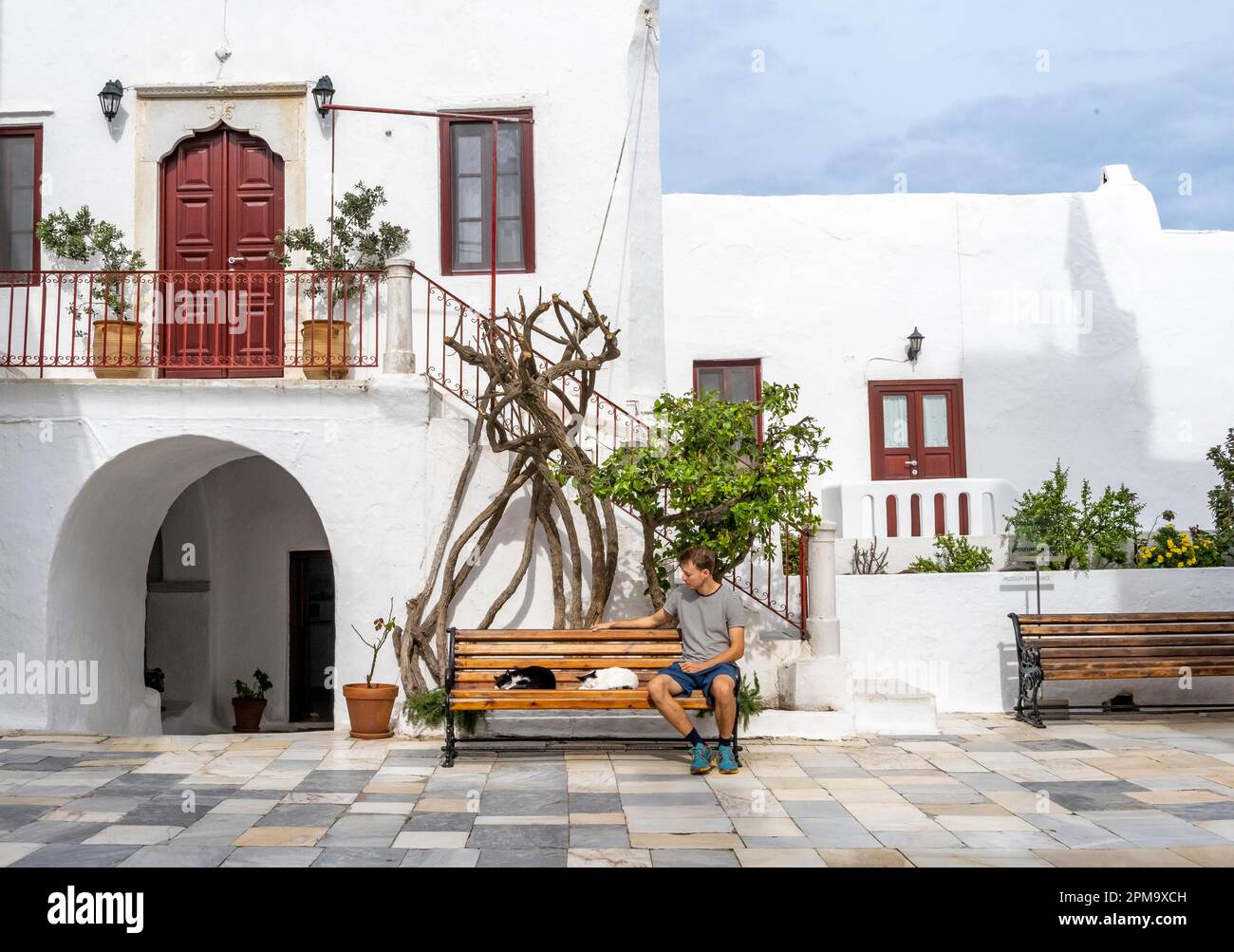 Giovane seduto su una panchina con gatti addormentati, case bianche delle Cicladi, Monastero di Panagia Tourliani, Ano Mera, Mykonos, CICLADI, Grecia Foto Stock