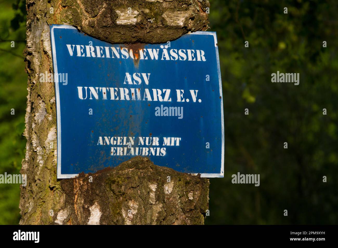 Segno ingrown nell'albero Foto Stock