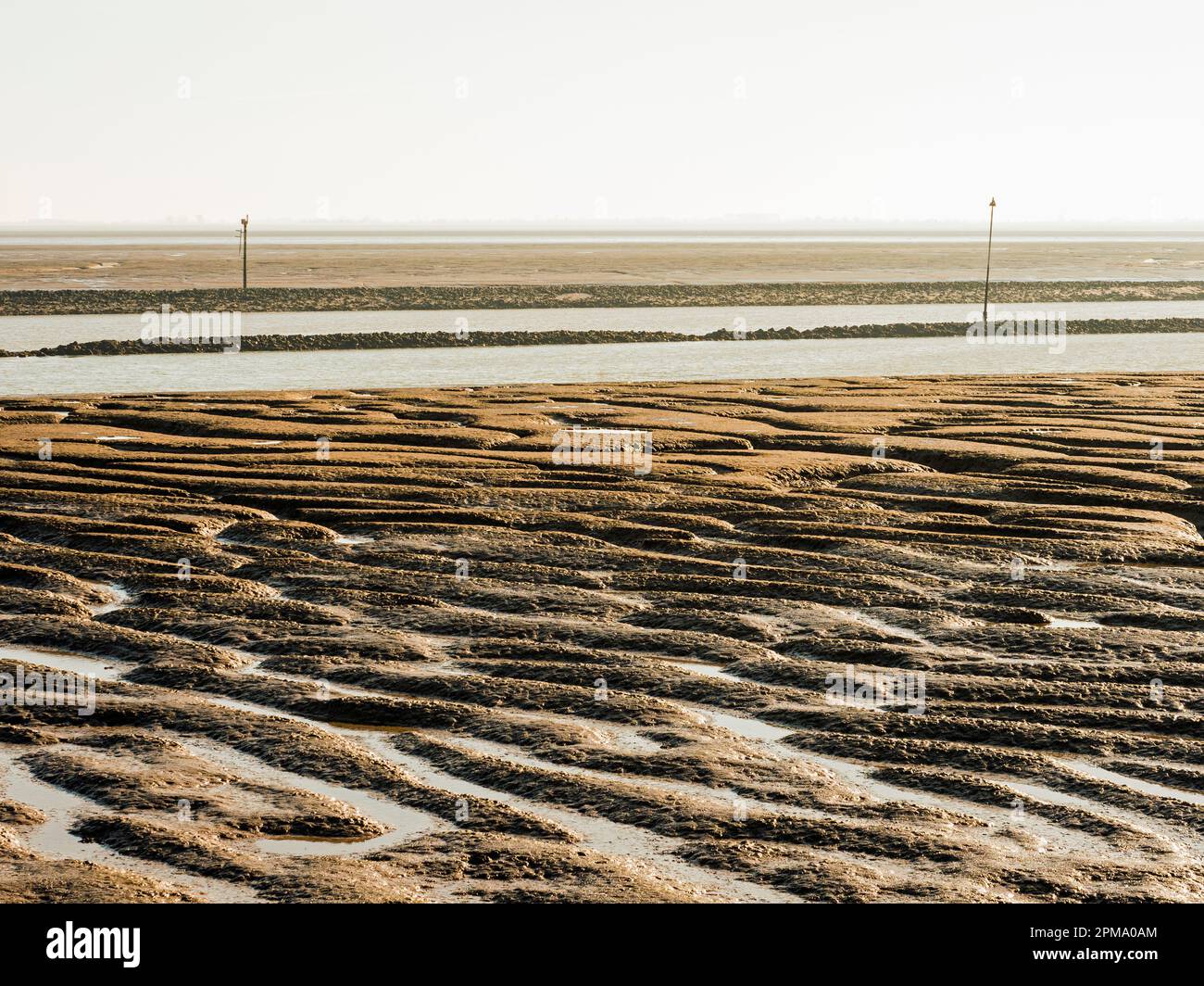Vista sulle fangose dell'estuario del Wash con il fiume Welland in primo piano, vicino a Frampton, Lincolnshire, Inghilterra Foto Stock