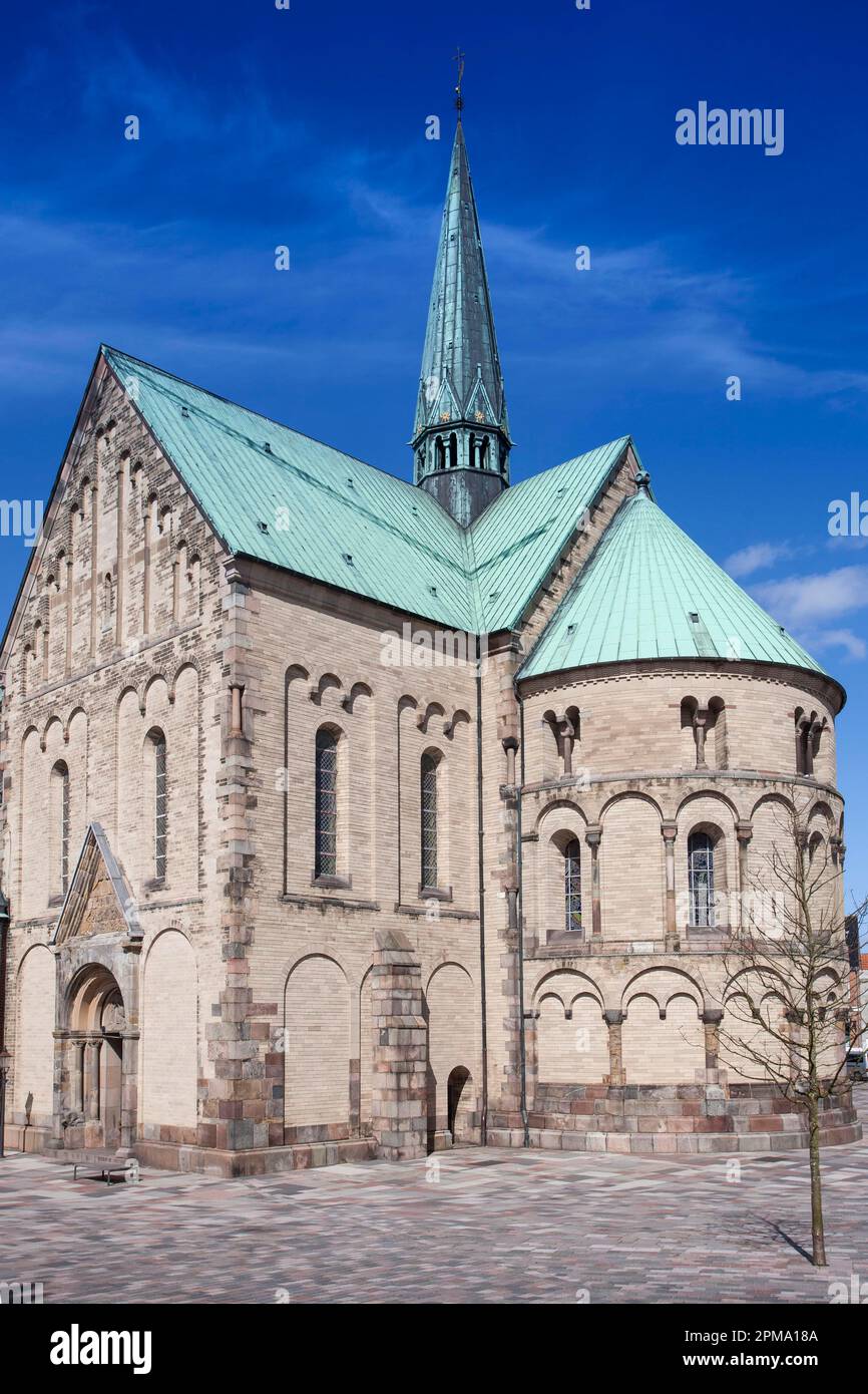 Chiesa Cattedrale, Ribe, Danimarca Foto Stock