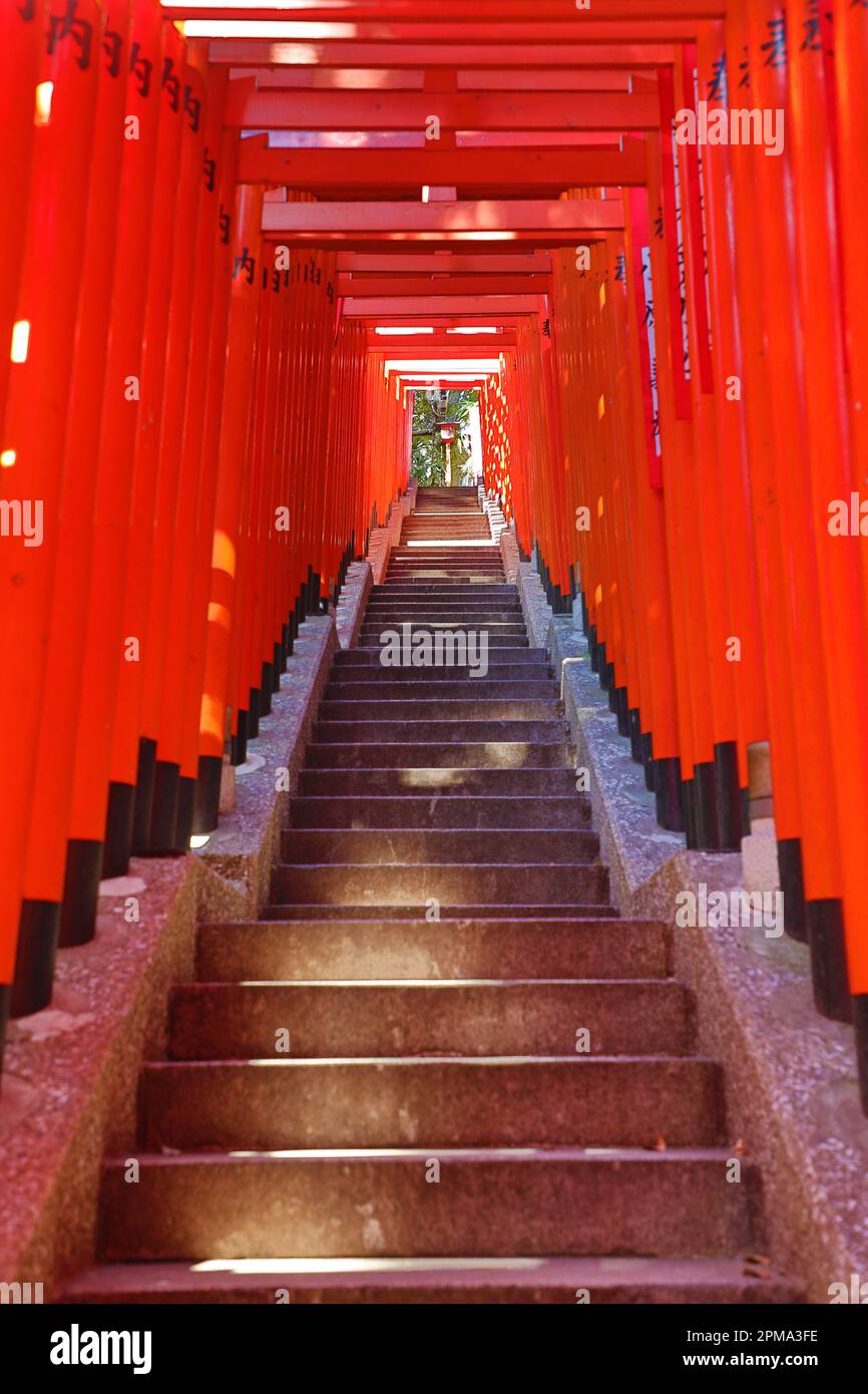 Red Torii Gate tunnel al Hie-Jinja sacrario scintoista, Tokyo, Giappone Foto Stock