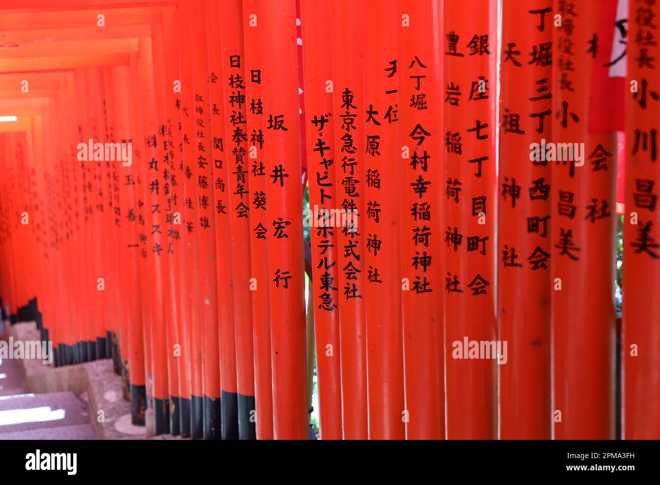 Red Torii Gate tunnel al Hie-Jinja sacrario scintoista, Tokyo, Giappone Foto Stock