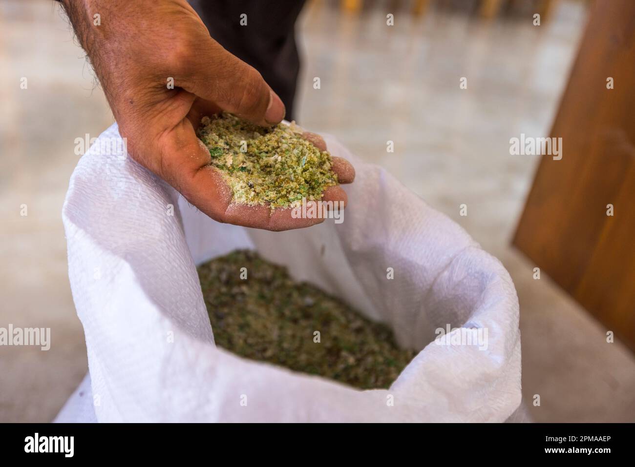 Una mano tiene un cucchiaio di materiale verde-marrone e granuloso da un sacco bianco gonfio come parte del progetto di riciclaggio e sostenibilità "Vasileia/Karşıyaka Sostenibile" a Karşıyaka (Vasilia), Repubblica Turca di Cipro del Nord (RTNC). Il progetto "Vasileia / Karşıyaka Sostenibile" include un programma di riciclaggio con l'obiettivo di "Zero sprechi entro il 2030". Per raggiungere questo obiettivo, verrà organizzata una serie di attività educative per i locali e gli studenti delle scuole primarie dei villaggi per insegnare loro perché la sostenibilità è importante a lungo termine. Foto Stock