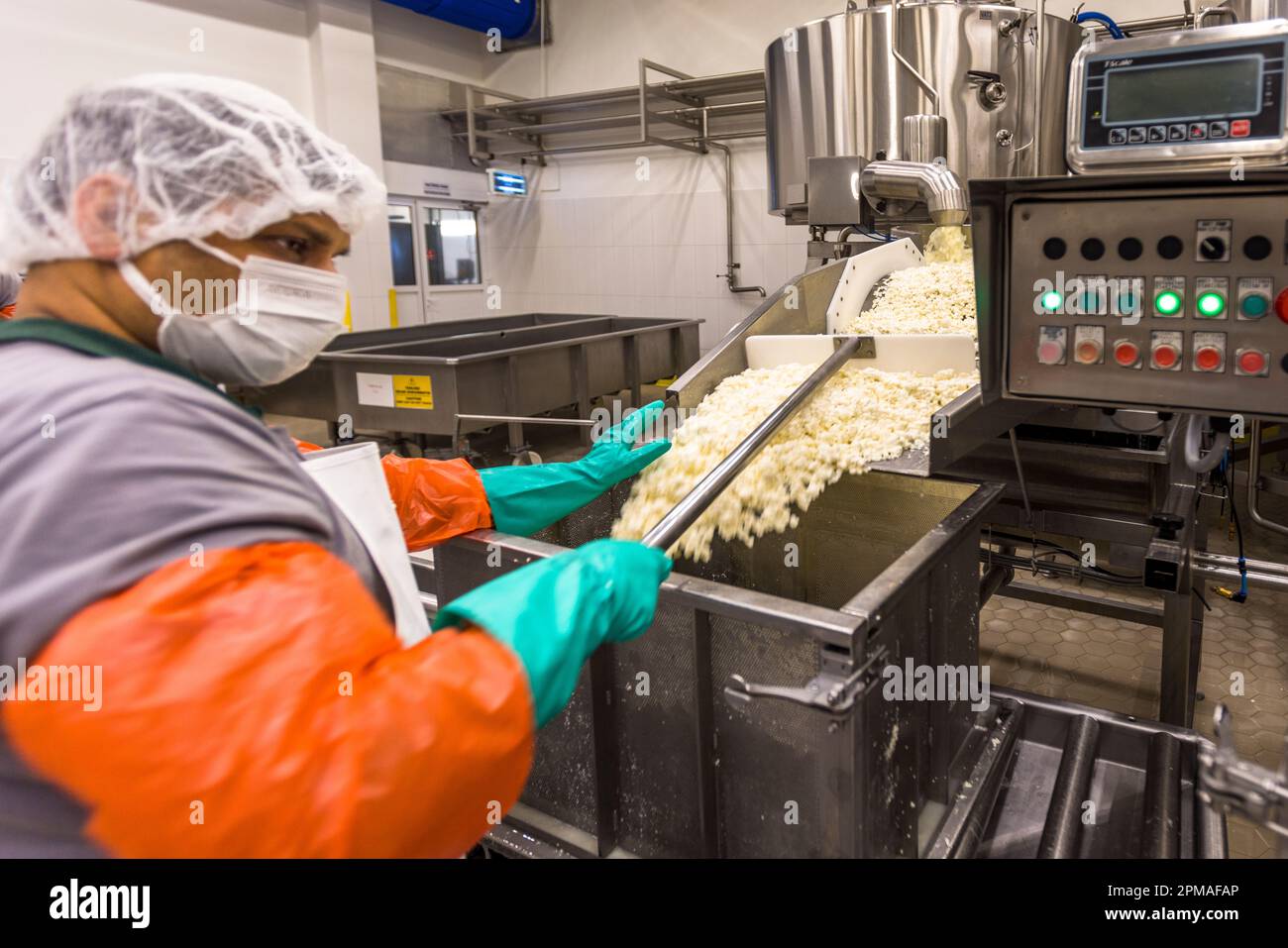 Produzione casearia ed ellim (halloumi) a Nicosia, Cipro Foto Stock
