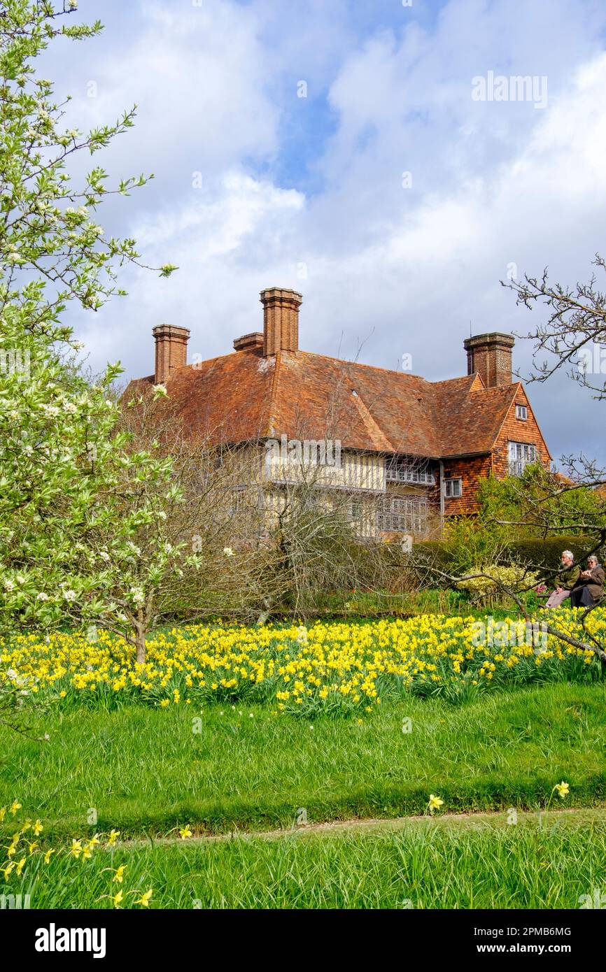 Narcisi nel prato di Great Dixter, East Sussex, UK Foto Stock