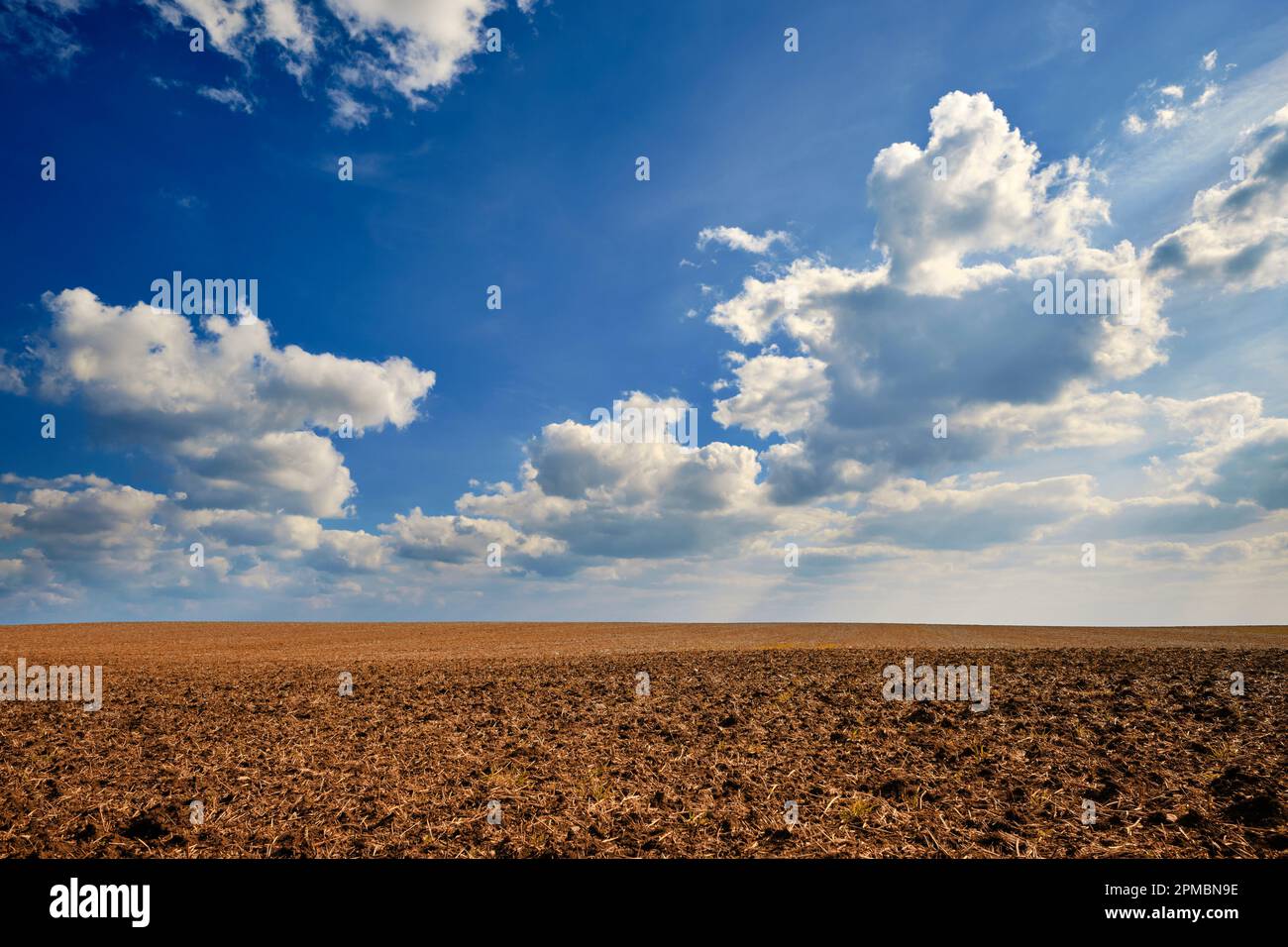 Suolo marrone secco su un campo agricolo arato sotto cielo blu con luce solare e nuvole. Siccità dopo che non piove a lungo a causa del cambiamento climatico. Foto Stock