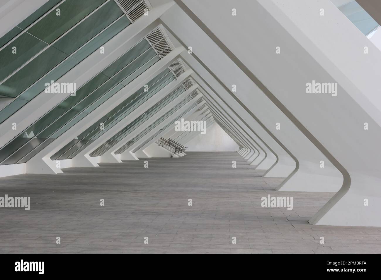 Spanien, Valencia, Santiago Calatrava, Ciutat de les Arts i les Ciències, Stadt der Künste und Wissenschaften, Wissenschaftsmuseum, Museu de les Ciènc Foto Stock