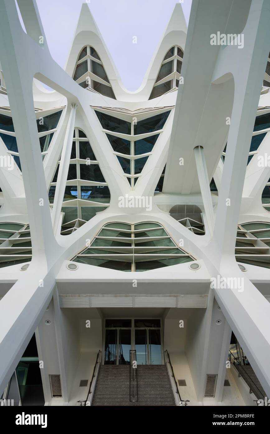Spanien, Valencia, Santiago Calatrava, Ciutat de les Arts i les Ciències, Stadt der Künste und Wissenschaften, Wissenschaftsmuseum, Museu de les Ciènc Foto Stock