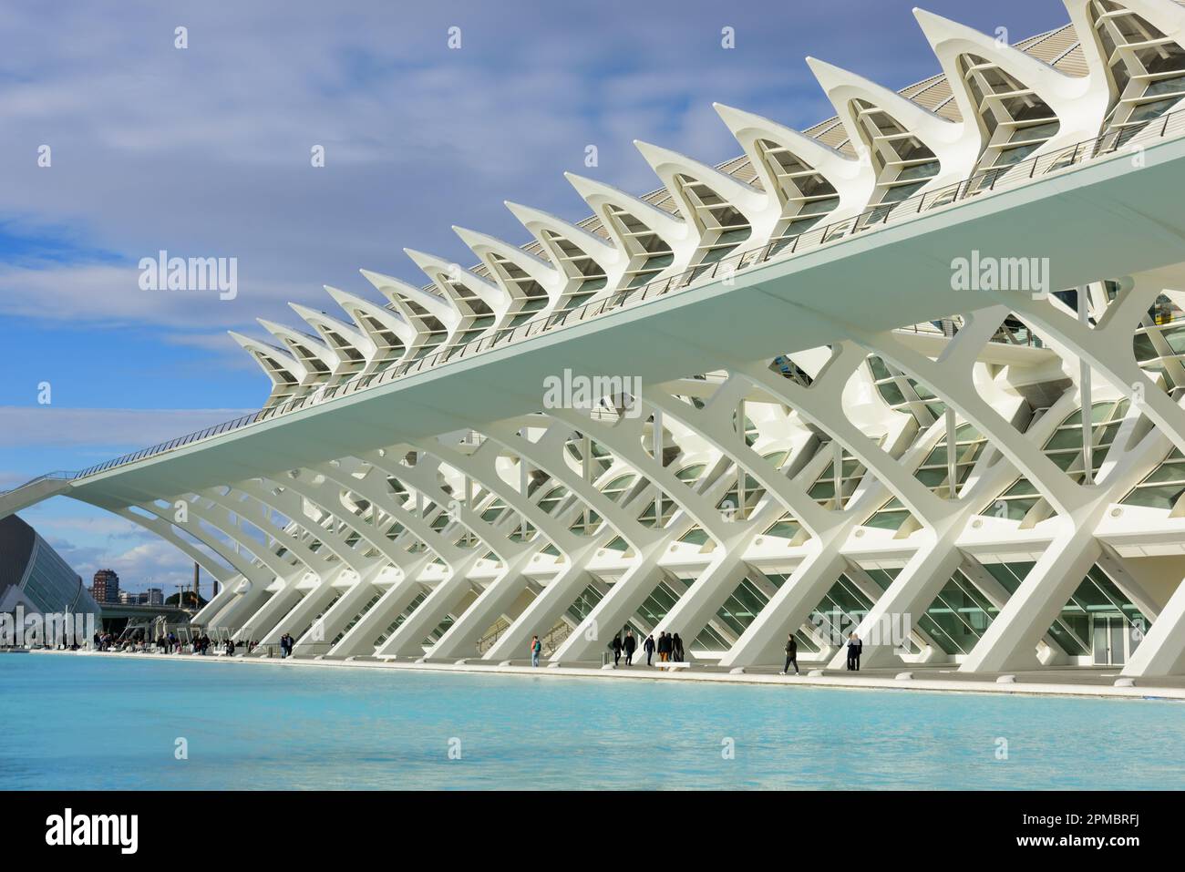 Spanien, Valencia, Santiago Calatrava, Ciutat de les Arts i les Ciències, Stadt der Künste und Wissenschaften, Wissenschaftsmuseum, Museu de les Ciènc Foto Stock