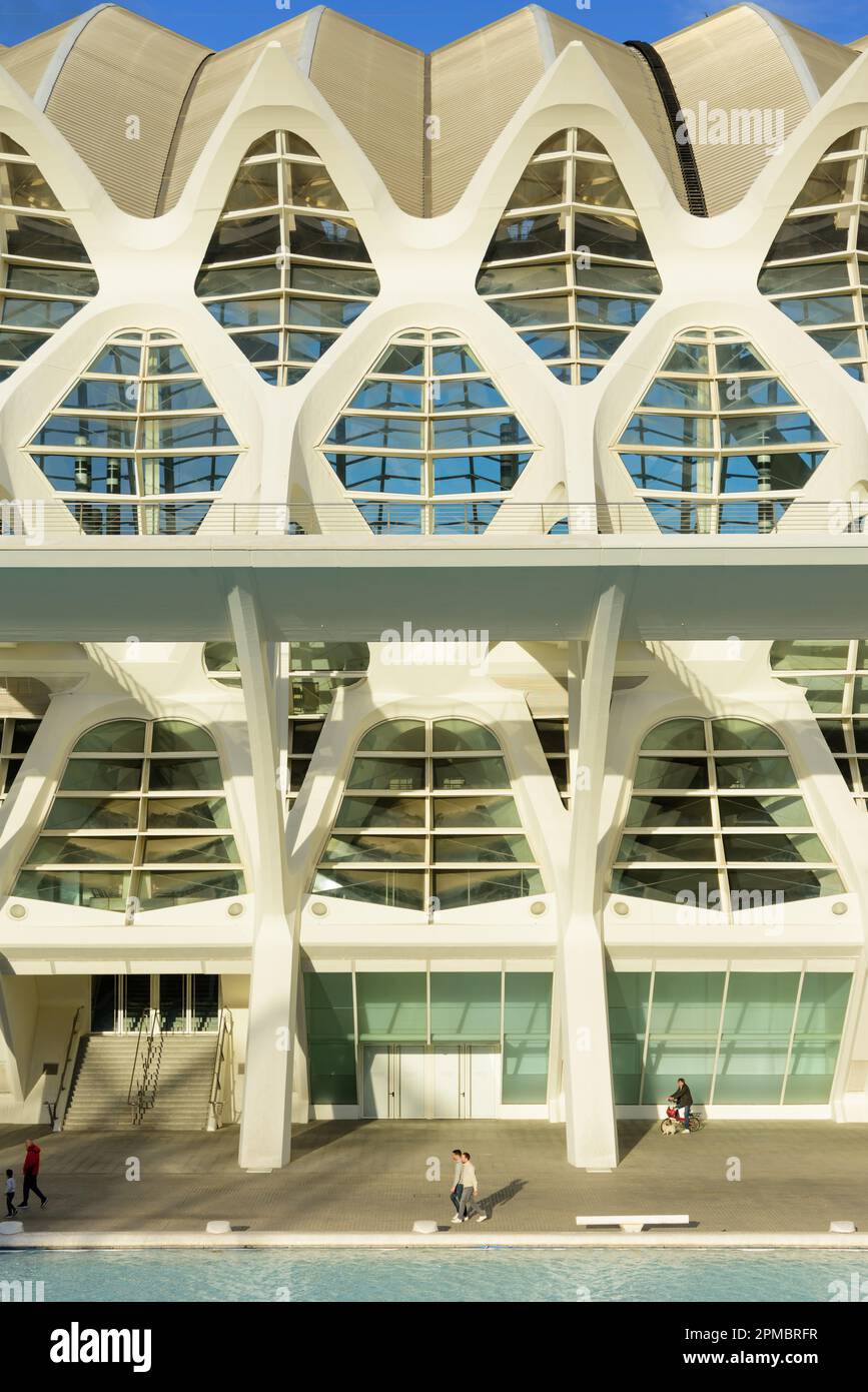 Spanien, Valencia, Santiago Calatrava, Ciutat de les Arts i les Ciències, Stadt der Künste und Wissenschaften, Wissenschaftsmuseum, Museu de les Ciènc Foto Stock