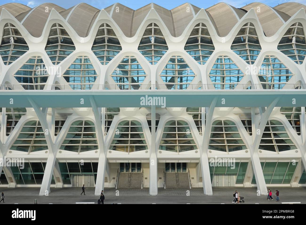 Spanien, Valencia, Santiago Calatrava, Ciutat de les Arts i les Ciències, Stadt der Künste und Wissenschaften, Wissenschaftsmuseum, Museu de les Ciènc Foto Stock