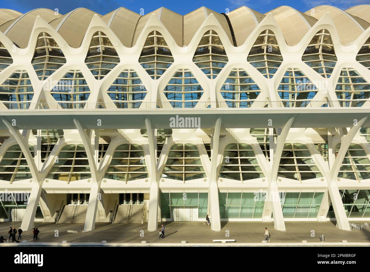 Spanien, Valencia, Santiago Calatrava, Ciutat de les Arts i les Ciències, Stadt der Künste und Wissenschaften, Wissenschaftsmuseum, Museu de les Ciènc Foto Stock