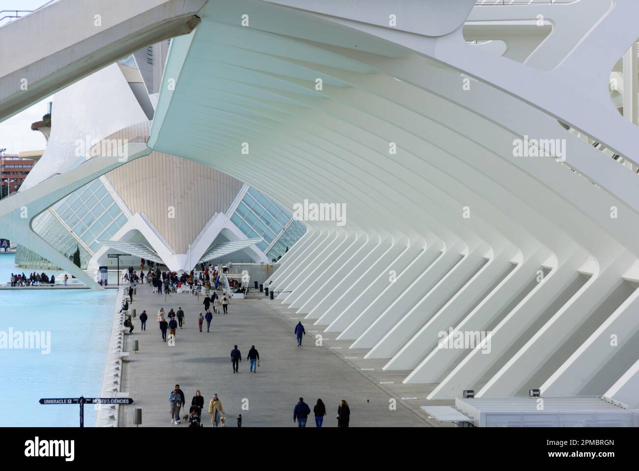 Spanien, Valencia, Santiago Calatrava, Ciutat de les Arts i les Ciències, Stadt der Künste und Wissenschaften, Wissenschaftsmuseum, Museu de les Ciènc Foto Stock