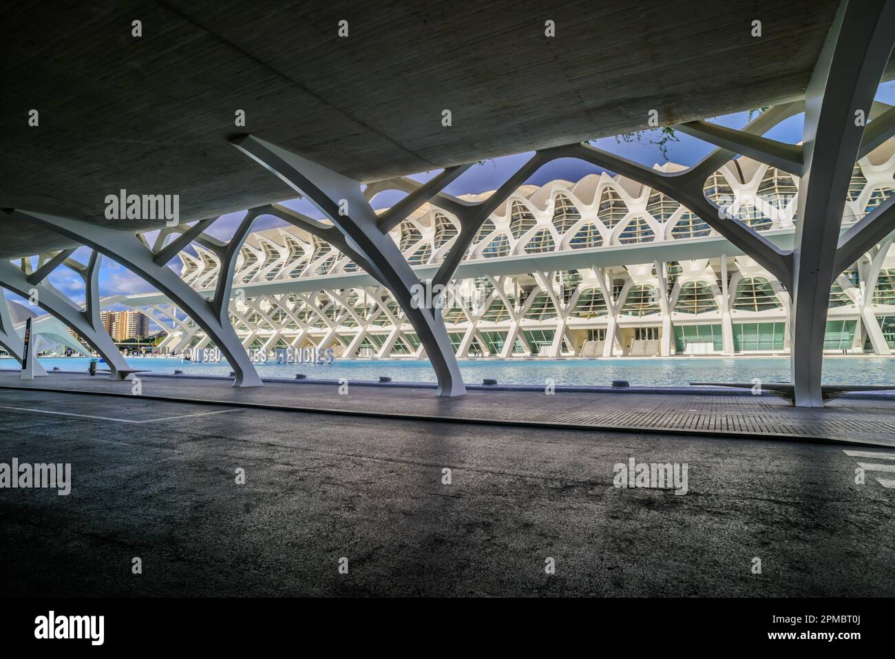 Spanien, Valencia, Santiago Calatrava, Ciutat de les Arts i les Ciències, Stadt der Künste und Wissenschaften, Wissenschaftsmuseum, Museu de les Ciènc Foto Stock