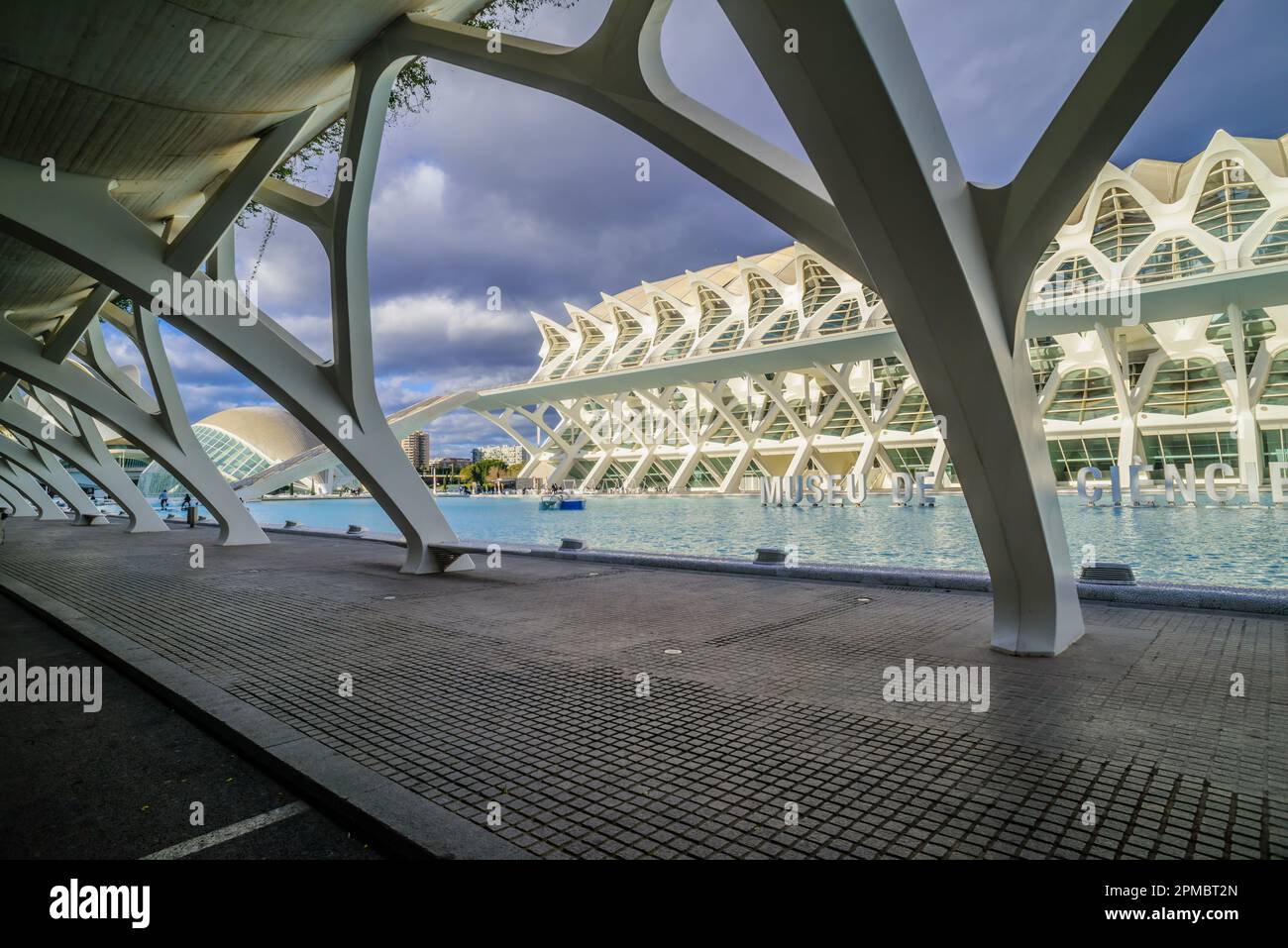 Spanien, Valencia, Santiago Calatrava, Ciutat de les Arts i les Ciències, Stadt der Künste und Wissenschaften, Wissenschaftsmuseum, Museu de les Ciènc Foto Stock
