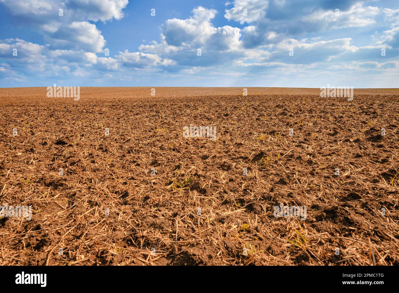 Suolo marrone secco su un campo agricolo arato sotto cielo blu con luce solare e nuvole. Siccità dopo che non piove a lungo a causa del cambiamento climatico. Foto Stock