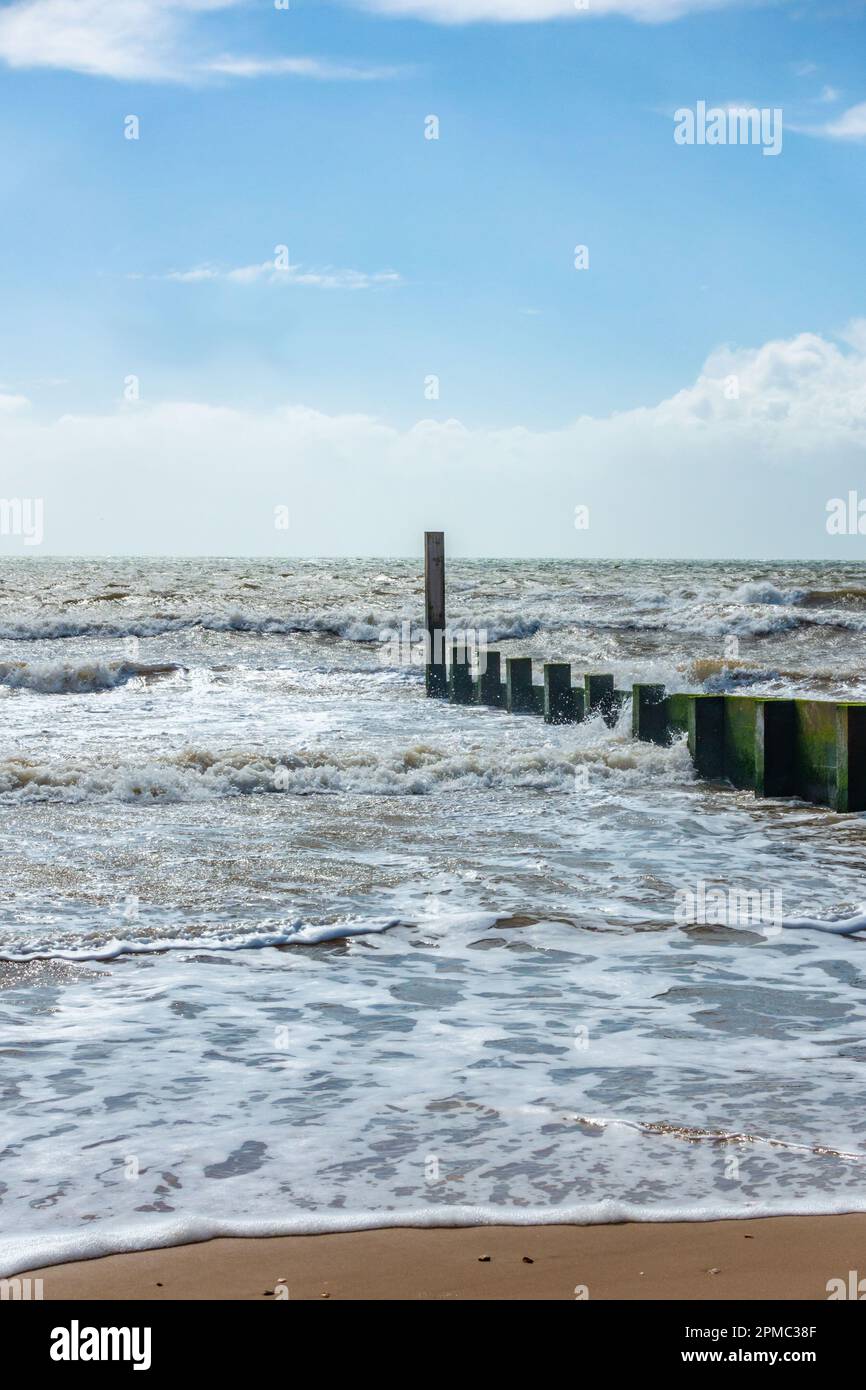 Un groyne che raggiunge il mare, perpendicolare al litorale sulla spiaggia di Durley Chine, Bournemouth, Regno Unito per impedire la deriva lunga della riva Foto Stock