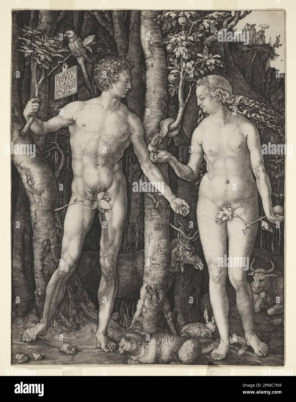 Print, Adam and Eva; Albrecht Dürer (tedesco, 1471–1528); Germania; incisione su carta color crema; 25,2 x 19,3 cm (9 15/16 x 7 5/8 pollici) Foto Stock Print, Adam and Eva; Albrecht Dürer (tedesco, 1471–1528); Germania; incisione su carta color crema; 25,2 x 19,3 cm (9 15/16 x 7 5/8 pollici) Foto Stock