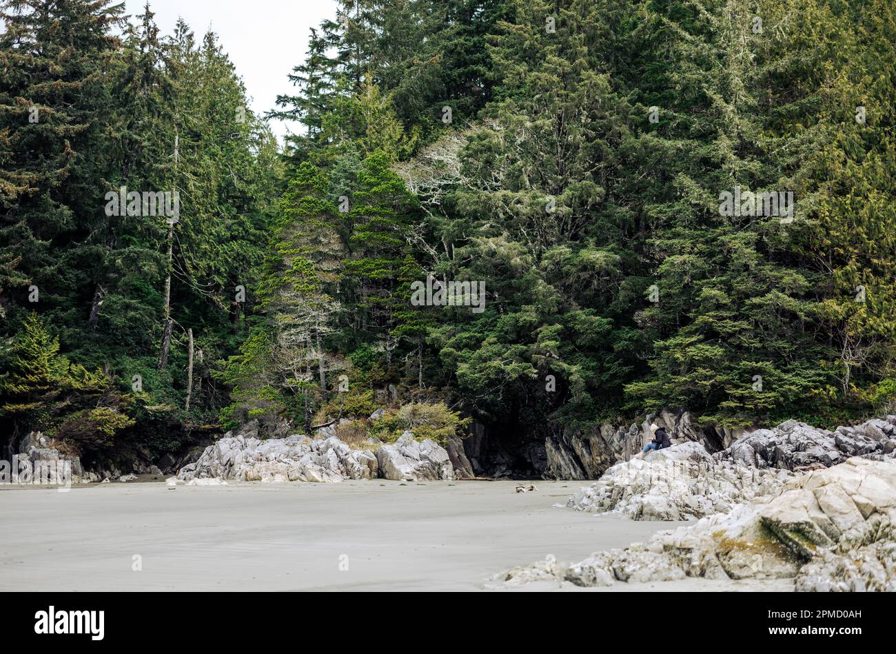 Situato sulla costa occidentale dell'Isola di Vancouver, Tofino sta diventando una destinazione popolare per coloro che vogliono una bellezza incontaminata della natura. Foto Stock
