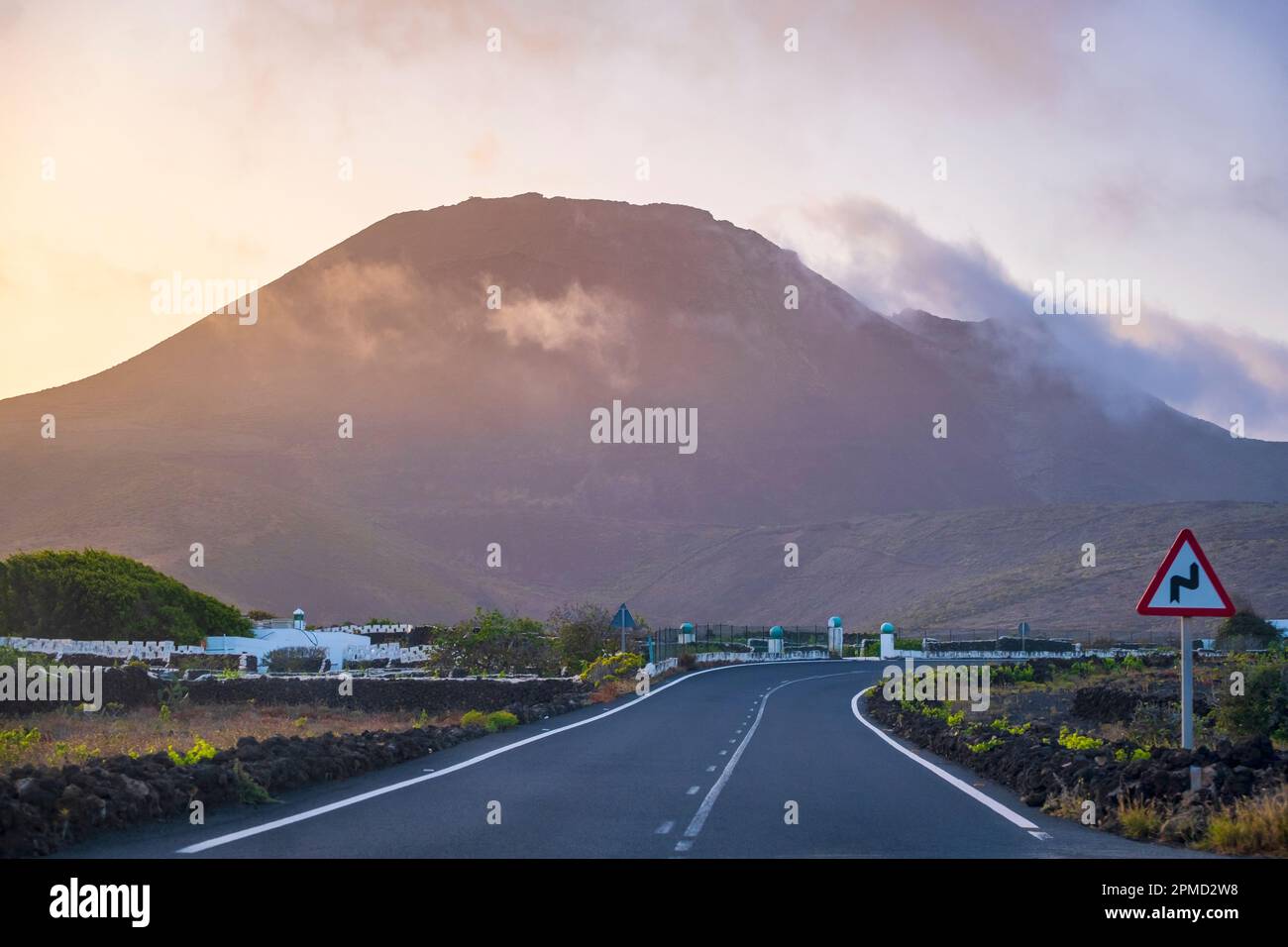 Lanzarote, Isole Canarie, Volcán de la Corona -- piante colorate in un paesaggio vulcanico in primavera Foto Stock