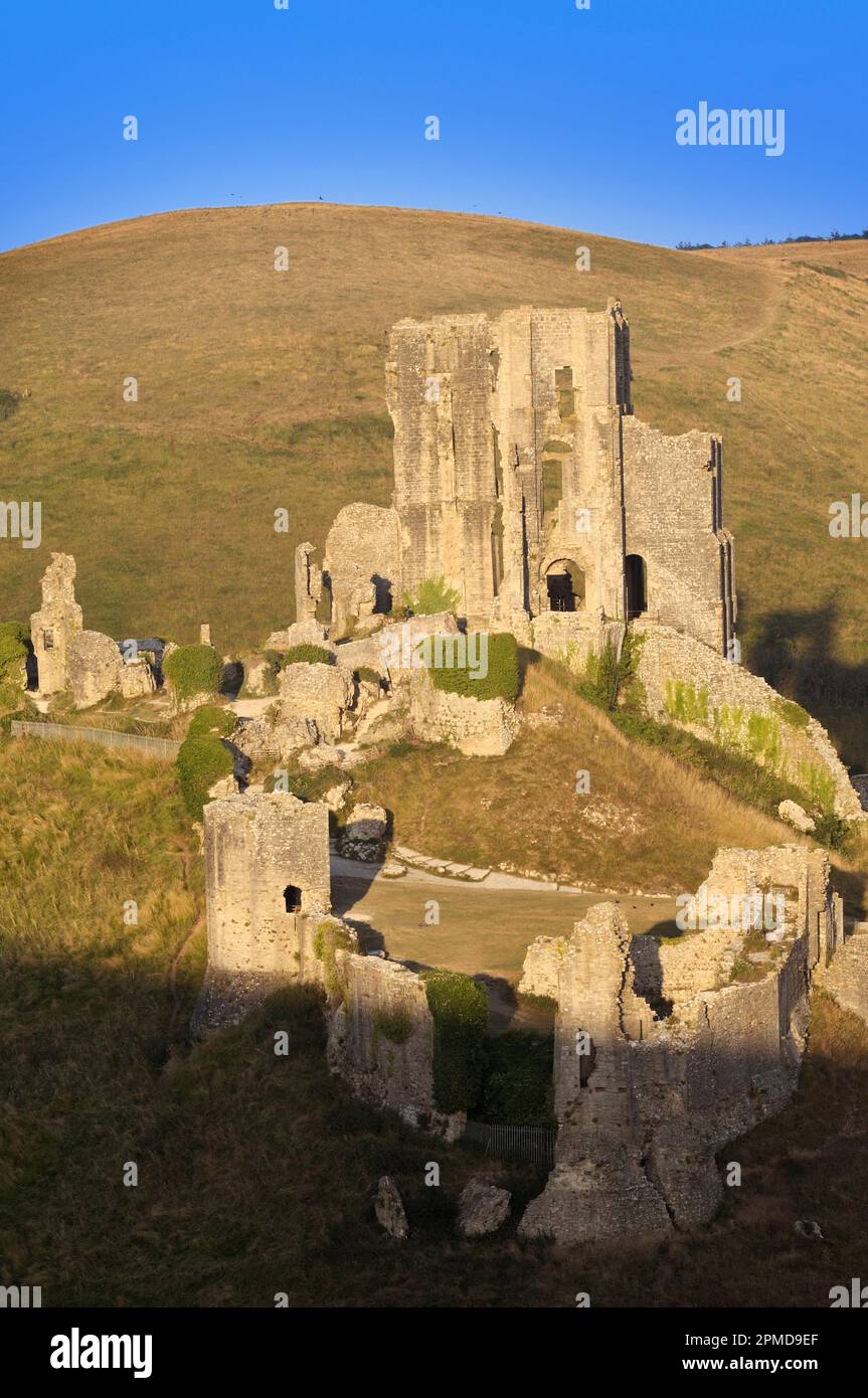 Sole tardo pomeriggio sulle rovine del 11th ° secolo in cima alla collina del Castello di Corfe, Isola di Purbeck, Dorset, Inghilterra, Regno Unito Foto Stock