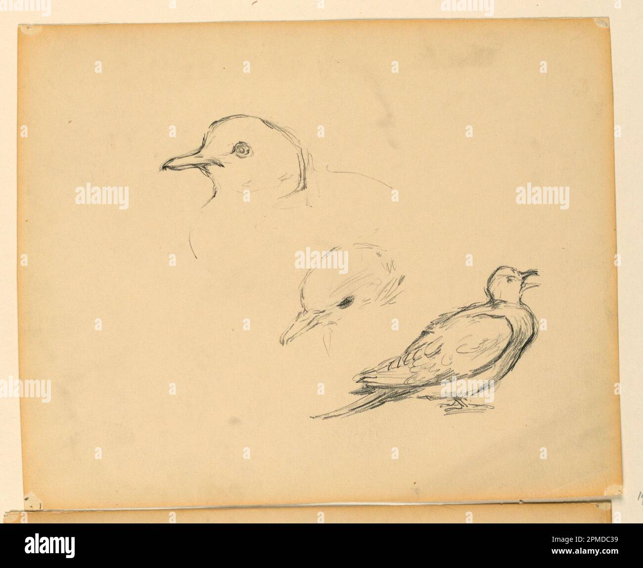 Disegno, studio per 'la Beneficenza della Legge,' Essex County Courthouse, Newark, NJ; Kenyon Cox (americano, 1856-1919); USA; grafite su carta; 19,2 x 23,9 cm (7 9/16 x 9 7/16 pollici) Foto Stock