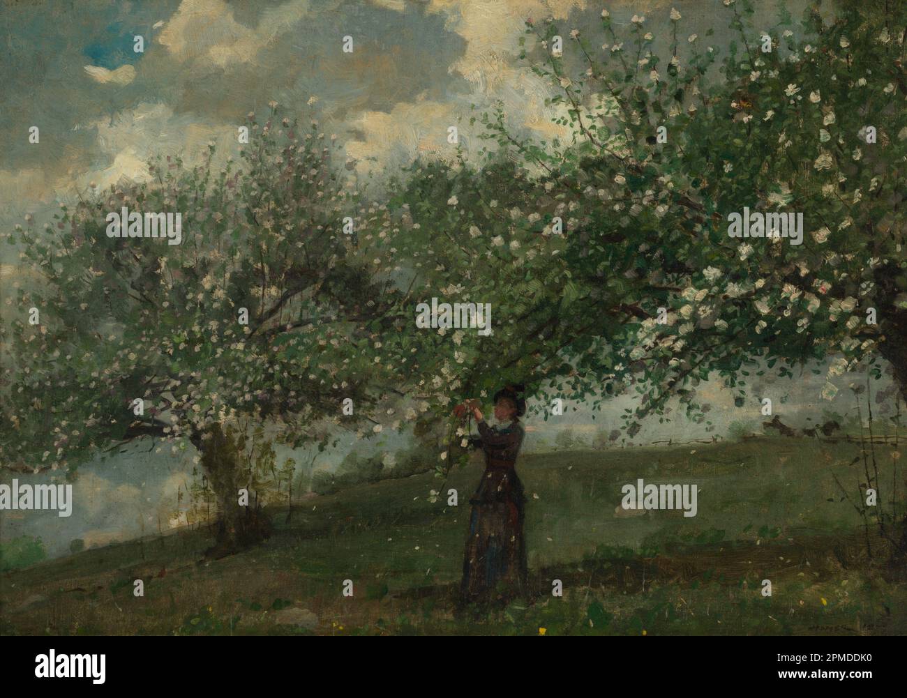 Pittura, Girl Picking Apple Blossoms; Winslow Homer (americano, 1836–1910); USA; pennello e pittura ad olio su tela; 40 x 57,8 cm (15 3/4 x 22 3/4 in.) Foto Stock