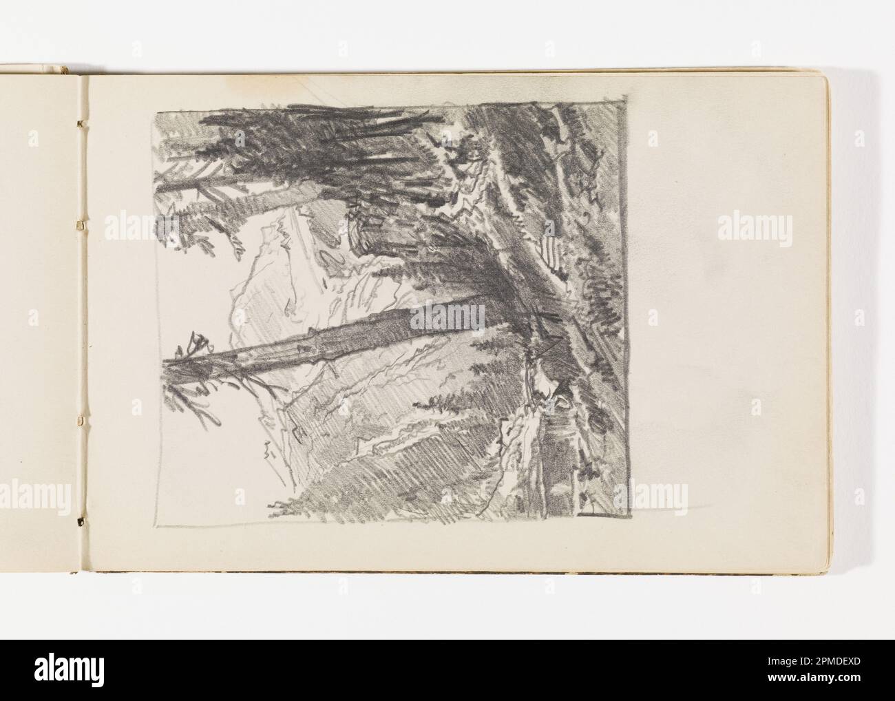 Libro di schizzo Folio, Paesaggio di montagna con alberi alti; William Trost Richards (americano, 1833–1905); USA; grafite su carta color panna; 6 x 10,6 cm (2 3/8 x 4 3/16 pollici) h. 19 x 12,5 cm (7 1/2 x 4 15/16), foglio Foto Stock