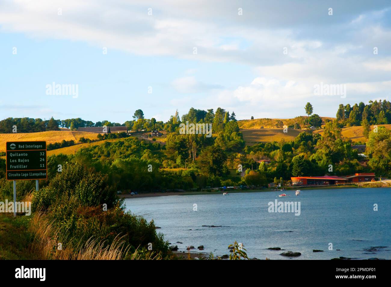 Riva del lago Llanquihue - Cile Foto Stock