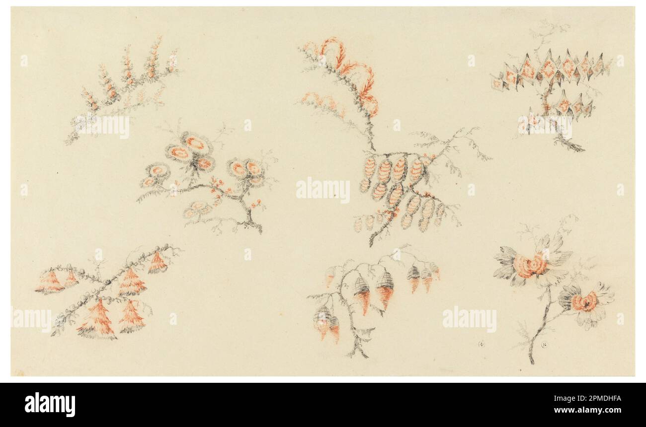 Disegno, spruzzi di sette fiori ideali e di un fiore quasi naturalistico; progettato da Jean-Baptiste Pillement (francese, 1728–1808); Francia; pastello nero, rosso su carta crema; 20,8 x 35 cm (8 3/16 x 13 3/4 pollici) Foto Stock
