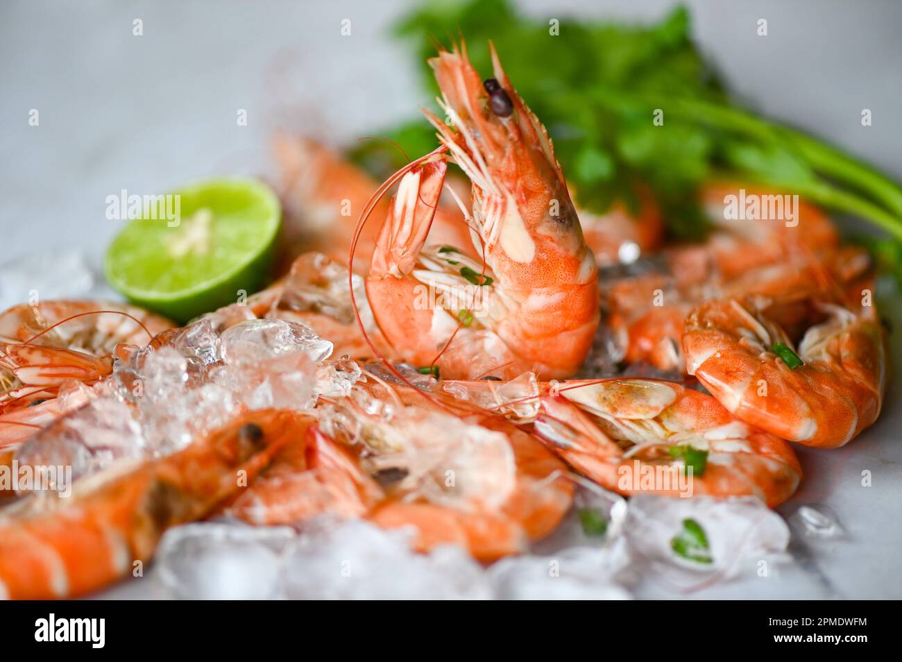 Gamberetti su piatto bianco fondo da pranzo cibo da tavolo, gamberetti freschi gamberi frutti di mare lime limone con erbe e spezie, vista dall'alto Foto Stock