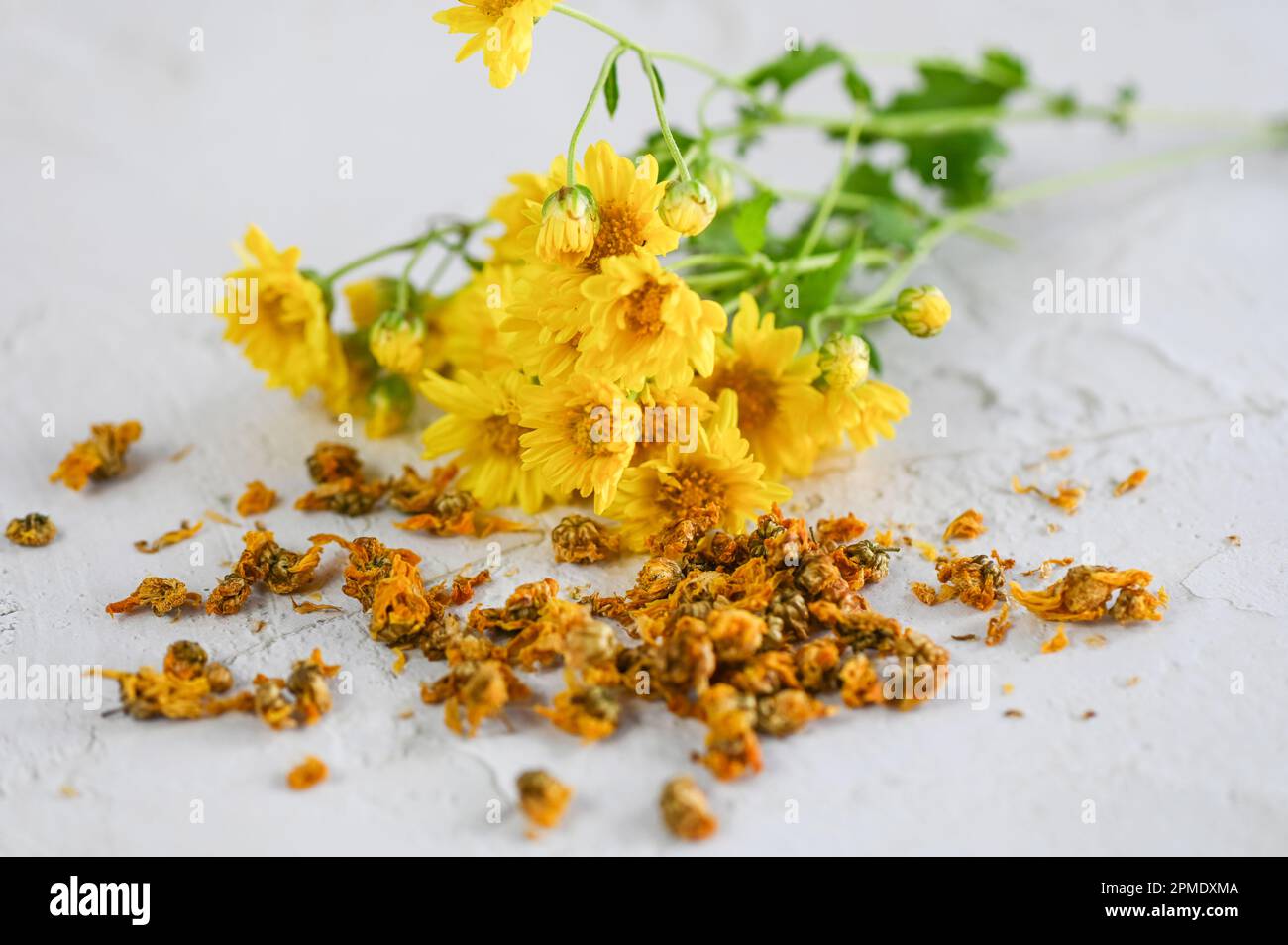 Chrysanthemum cinese fiore tè - germogli di crysanthemum essiccati per tè alle erbe su sfondo di legno, Chrysanthemum secco fiore giallo Foto Stock