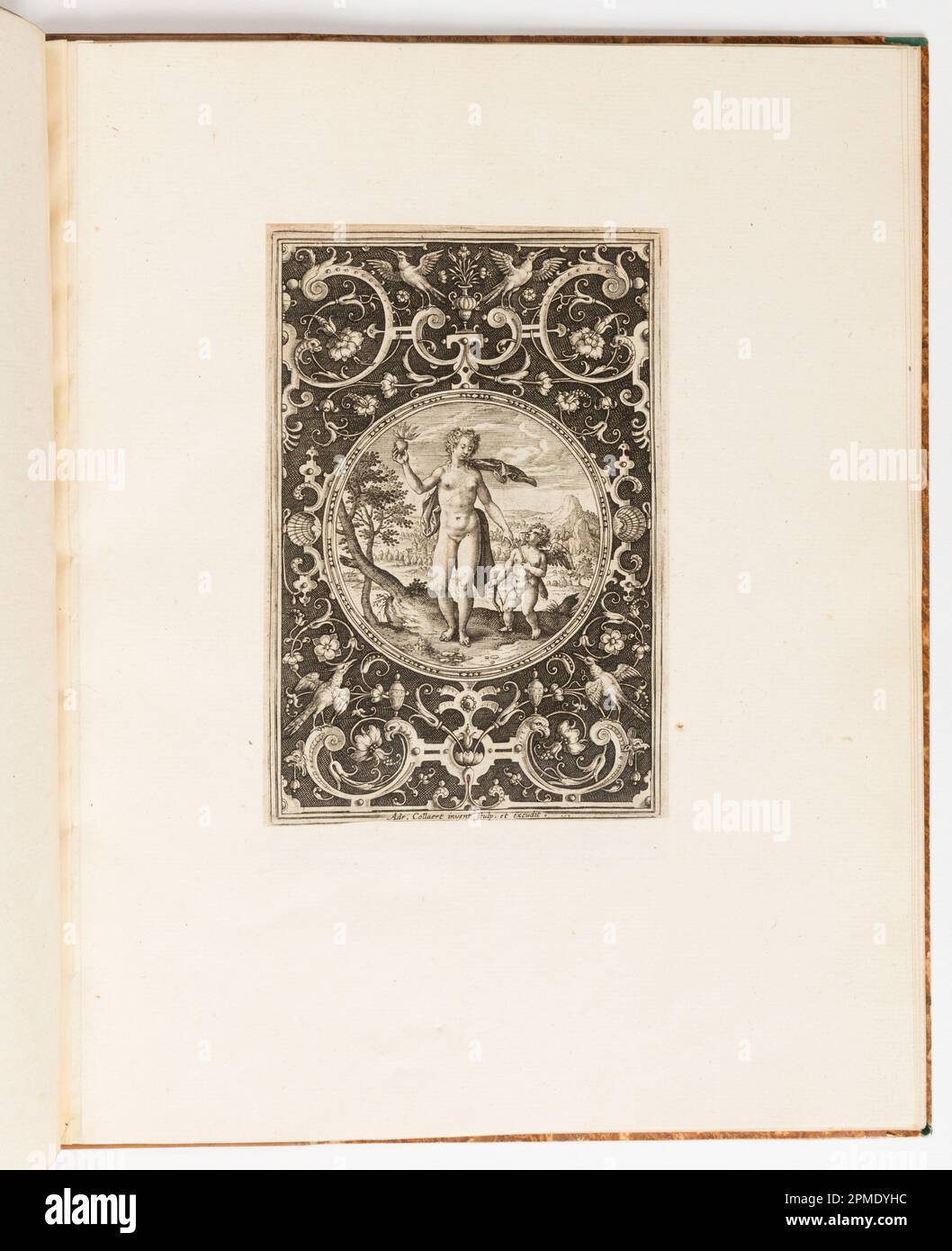 Stampa, Venere, piatto da una suite di 6 disegni ornamentali con il Giudizio di Parigi; progettato da Adriaen Collaert (fiammingo, ca. 1560 – 1618); Paesi Bassi; incisione su carta steso Foto Stock