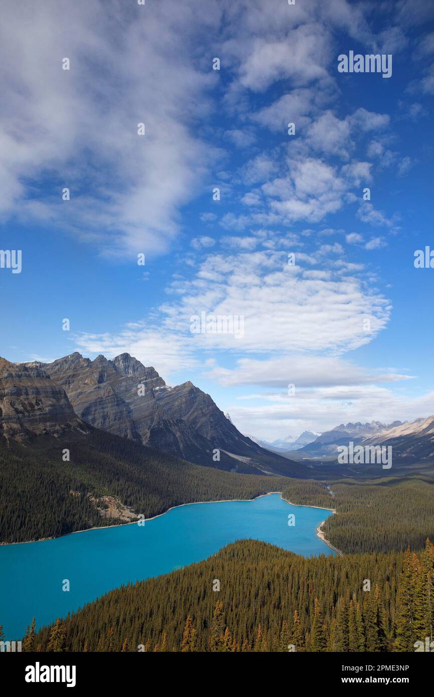 Peyto Lake, un lago alimentato da ghiacciaio lungo l'Icefields Parkway nel paesaggio delle Montagne Rocciose di Banff National Park, Alberta, Canada Foto Stock