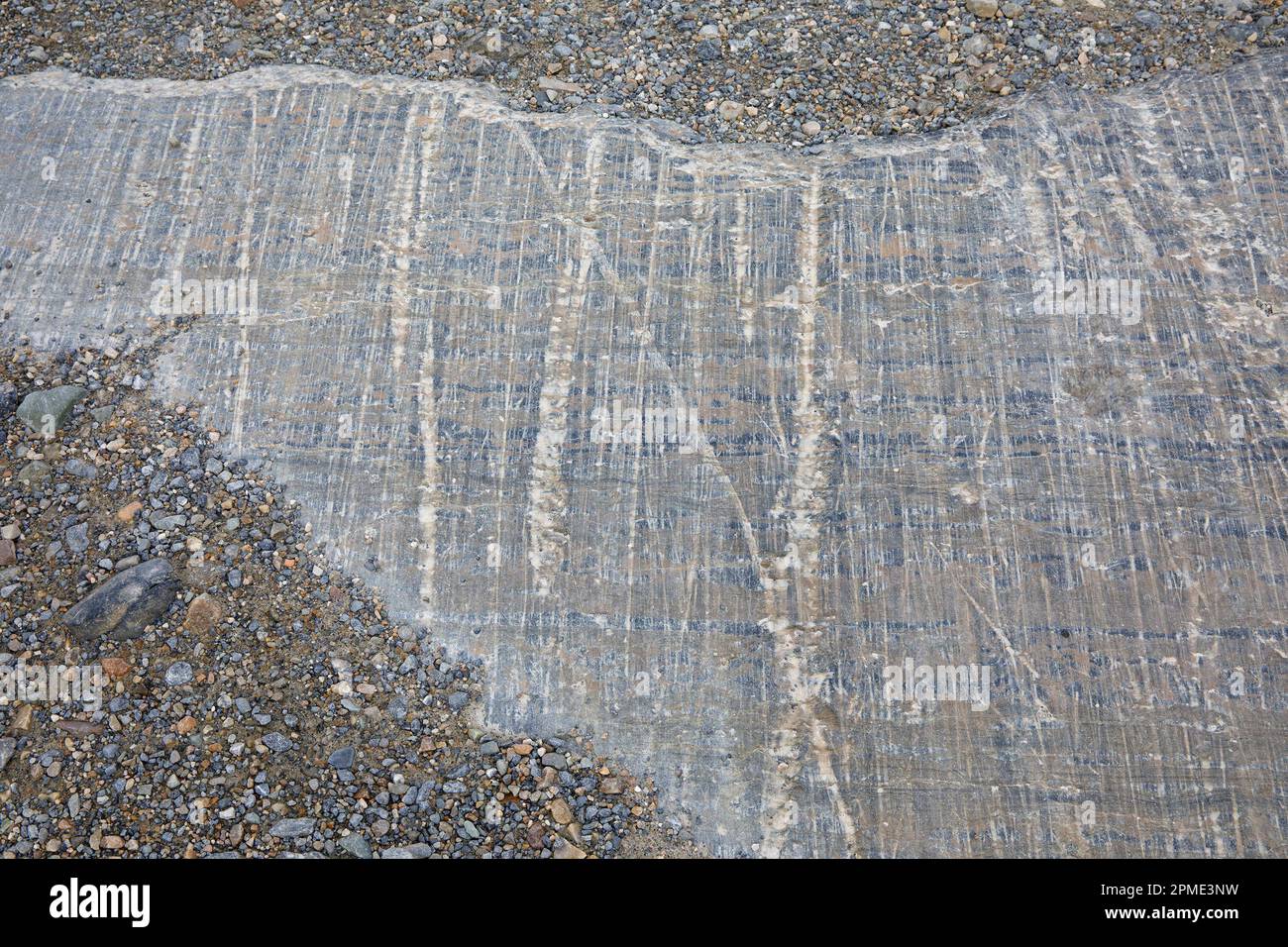 Striature glaciali lasciate dal ghiacciaio Athabasca, graffi paralleli nella roccia che mostrano la direzione del movimento del ghiaccio, Jasper National Park, Canada Foto Stock