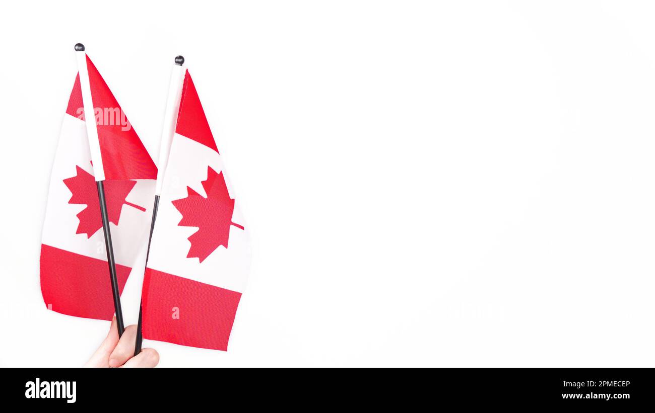 Mano orgogliosamente sventolando la bandiera nazionale del Canada. Giornata del Canada, votazione. Foto Stock