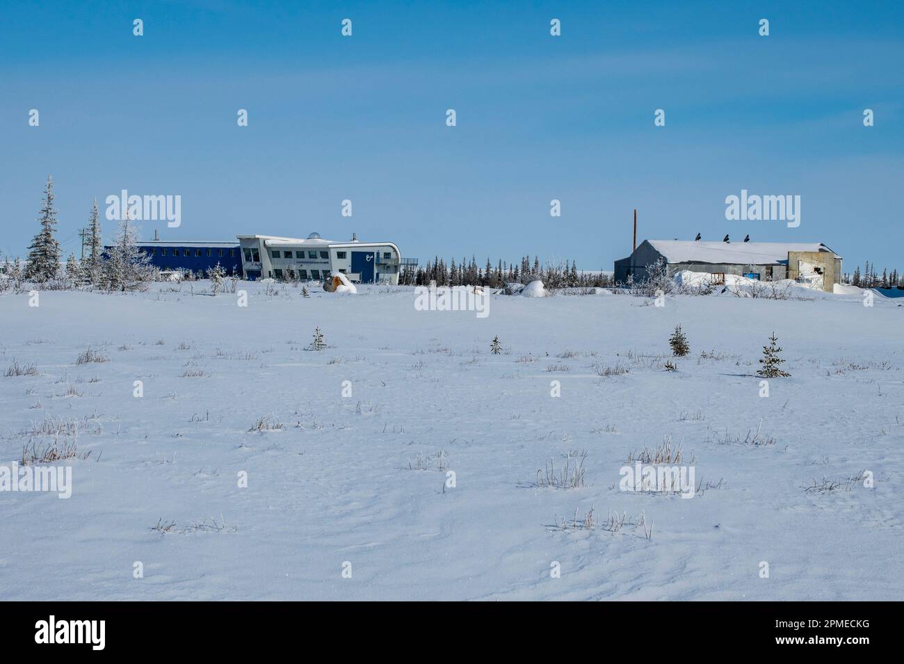 Churchill Northern Studies Centre a Churchill, Manitoba, Canada Foto Stock