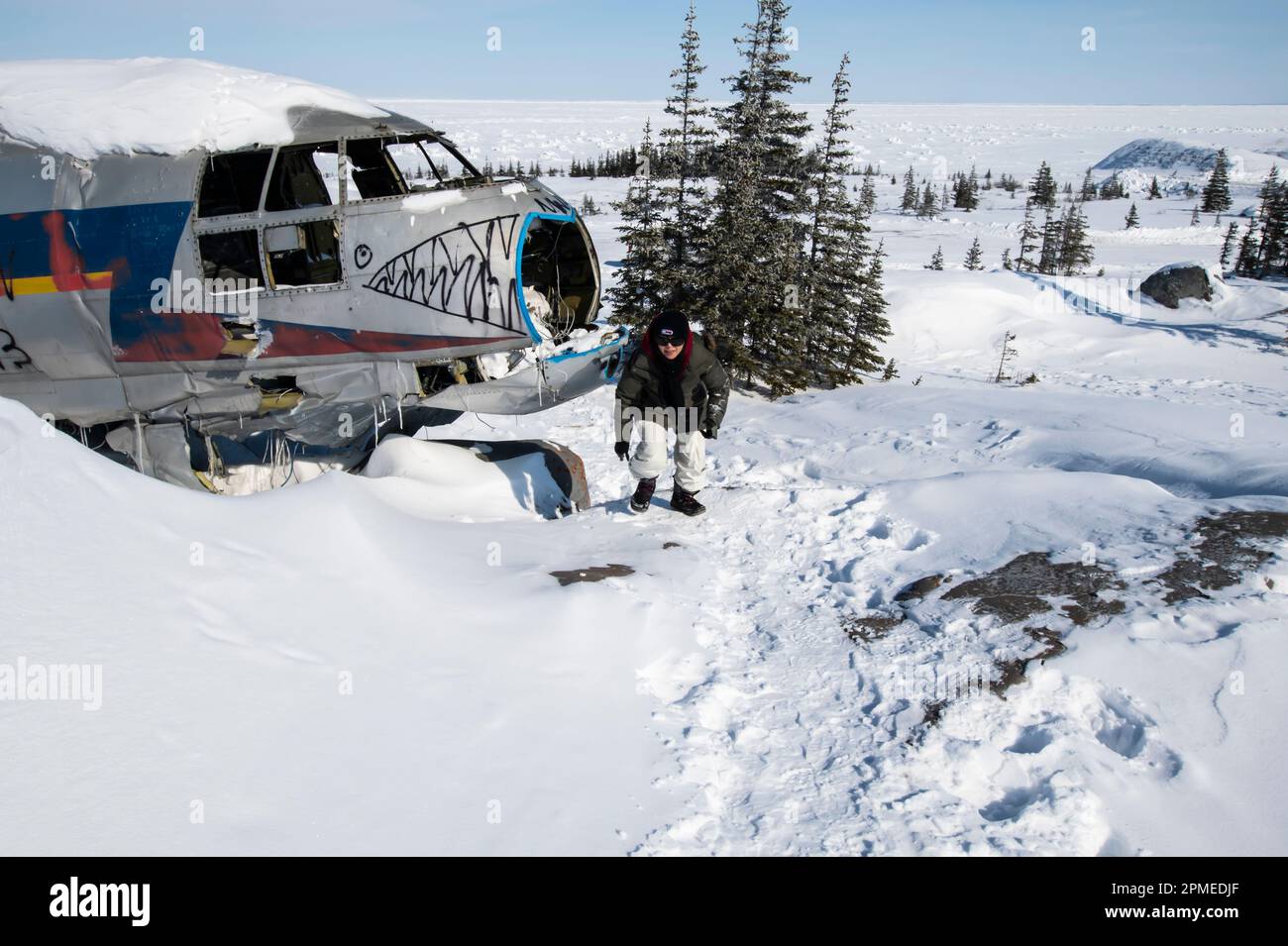 La signorina Piggy Curtiss C-46 Commando ha schiantato aerei a Churchill, Manitoba, Canada Foto Stock