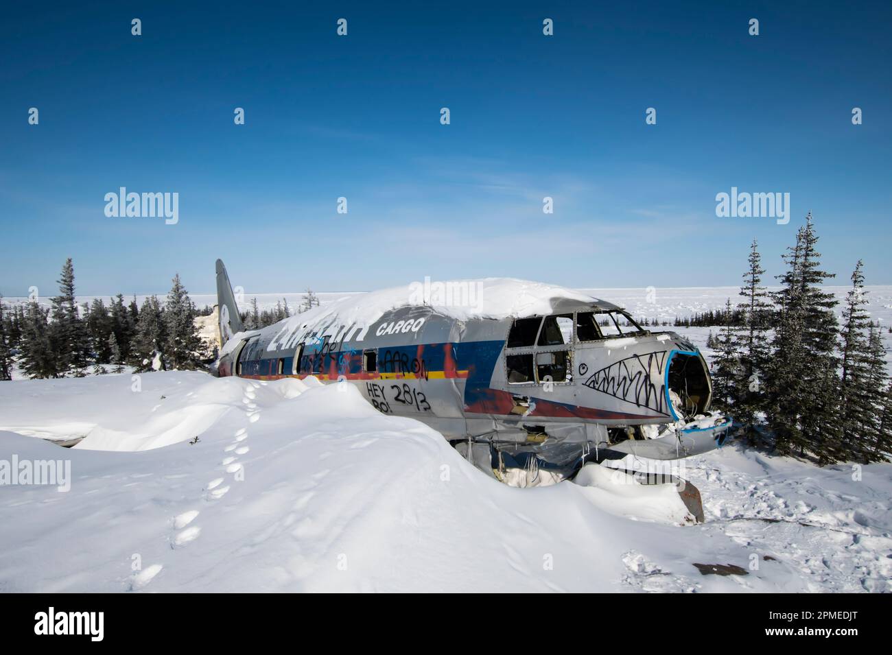 La signorina Piggy Curtiss C-46 Commando ha schiantato aerei a Churchill, Manitoba, Canada Foto Stock
