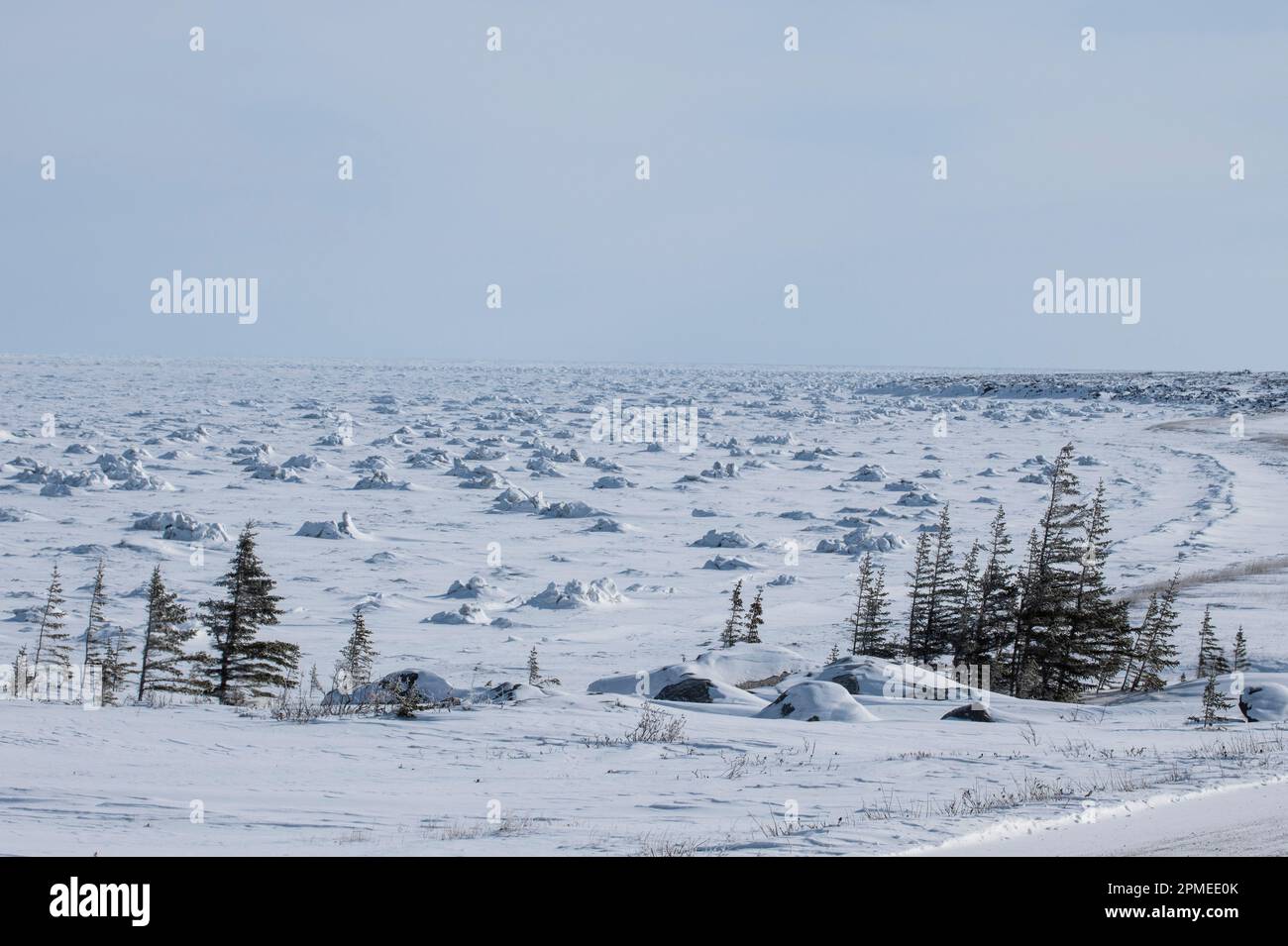 Tumuli di ghiaccio a Hudson Bay a Churchill, Manitoba, Canada Foto Stock