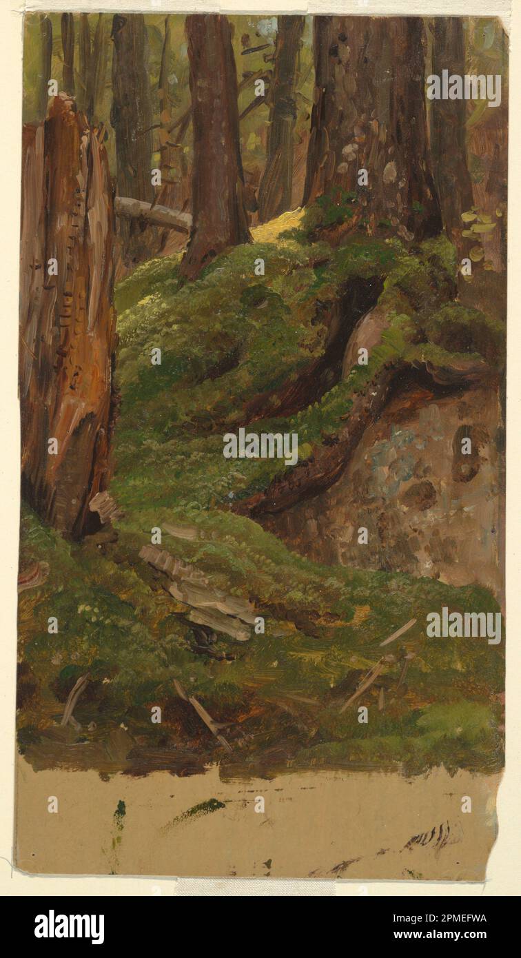 Disegno, Maine? Woods; Frederic Edwin Church (americano, 1826–1900); USA; pennello e olio, grafite color crema? cartone; 23,2 x 32,9 cm (9 1/8 x 12 15/16 pollici) Foto Stock