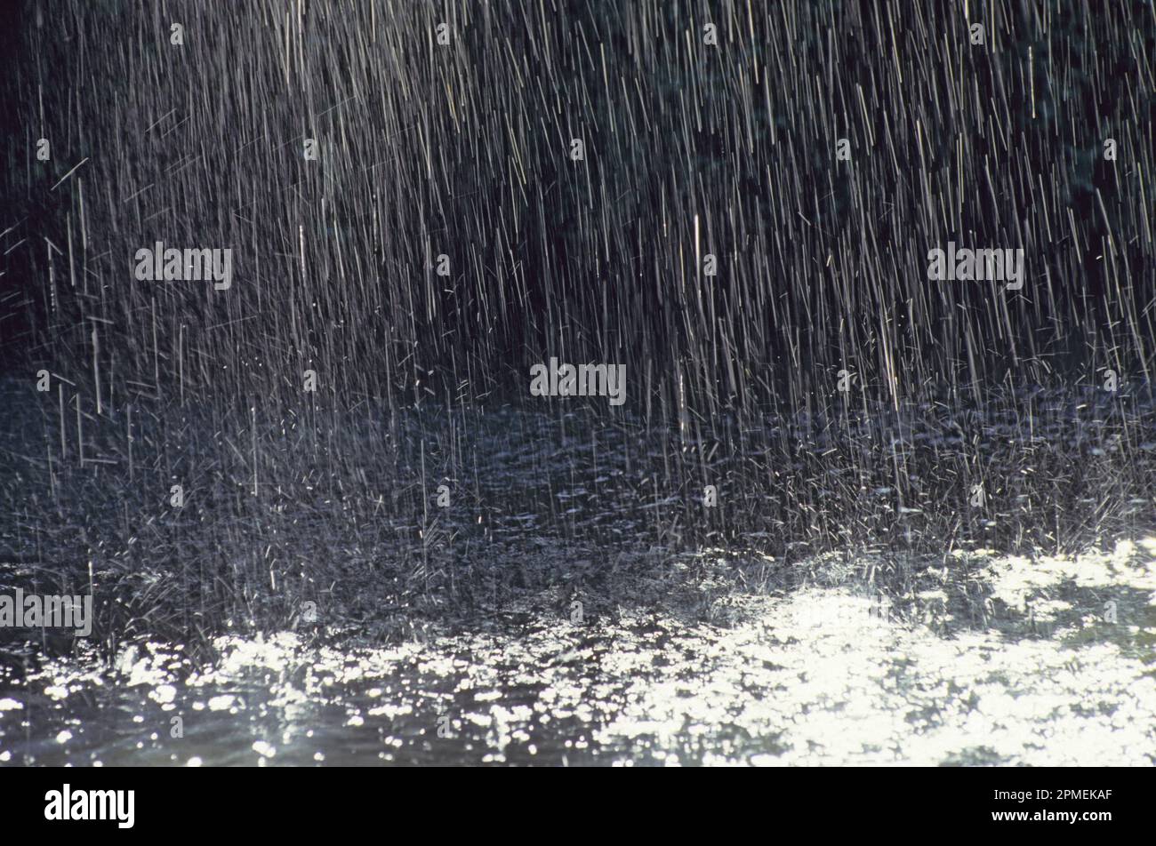 Gocce di pioggia fotografate in Israele in inverno Foto Stock